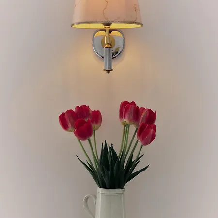 Design Muller Montmartre Citycosy Appartement Paris