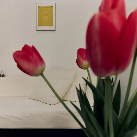 Appartement Design Muller Montmartre Citycosy Paris